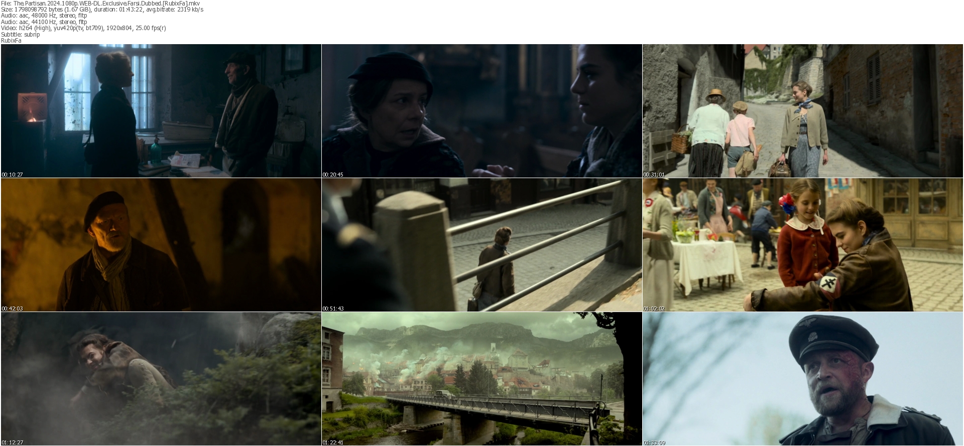 دانلود فیلم The Partisan 2024 دوبله فارسی